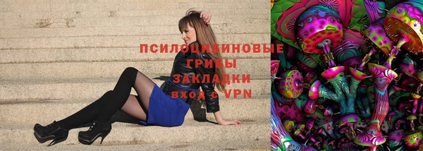 сатива Нягань