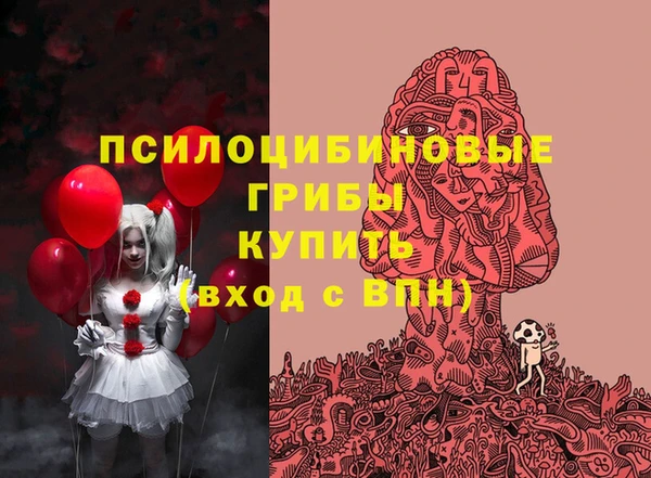 гашиш Няндома